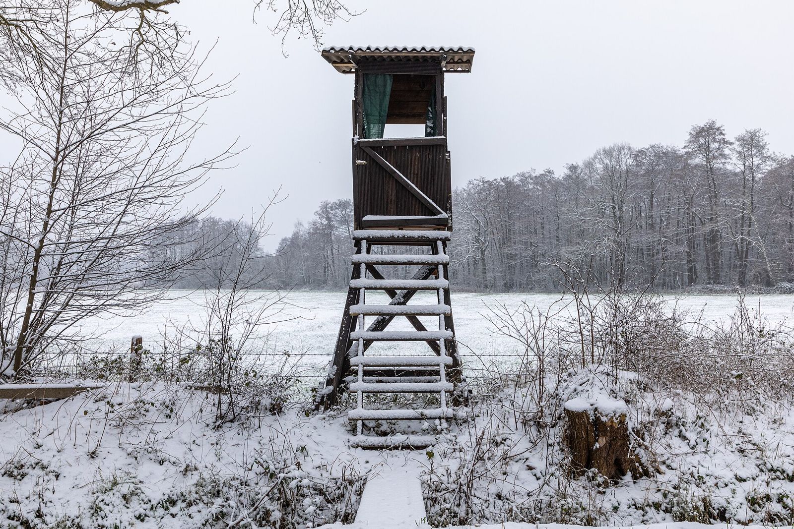 Jakttorn vid ett snötäckt fält i Dülmen, Nordrhein-Westfalen — miljöbild, inte en värds mark i texten