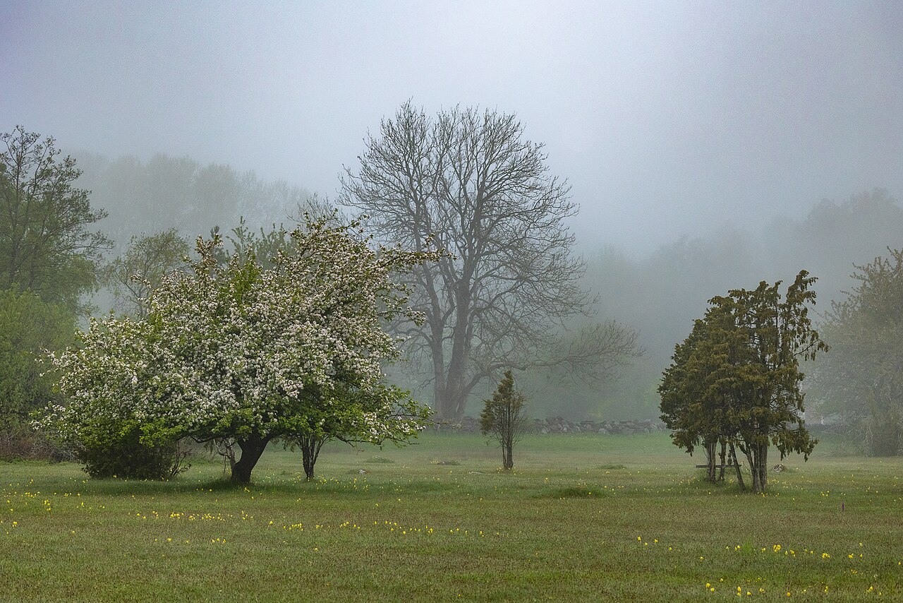 Kinnekulle Bestorp — landskap, inte Blomberg-jaktpass