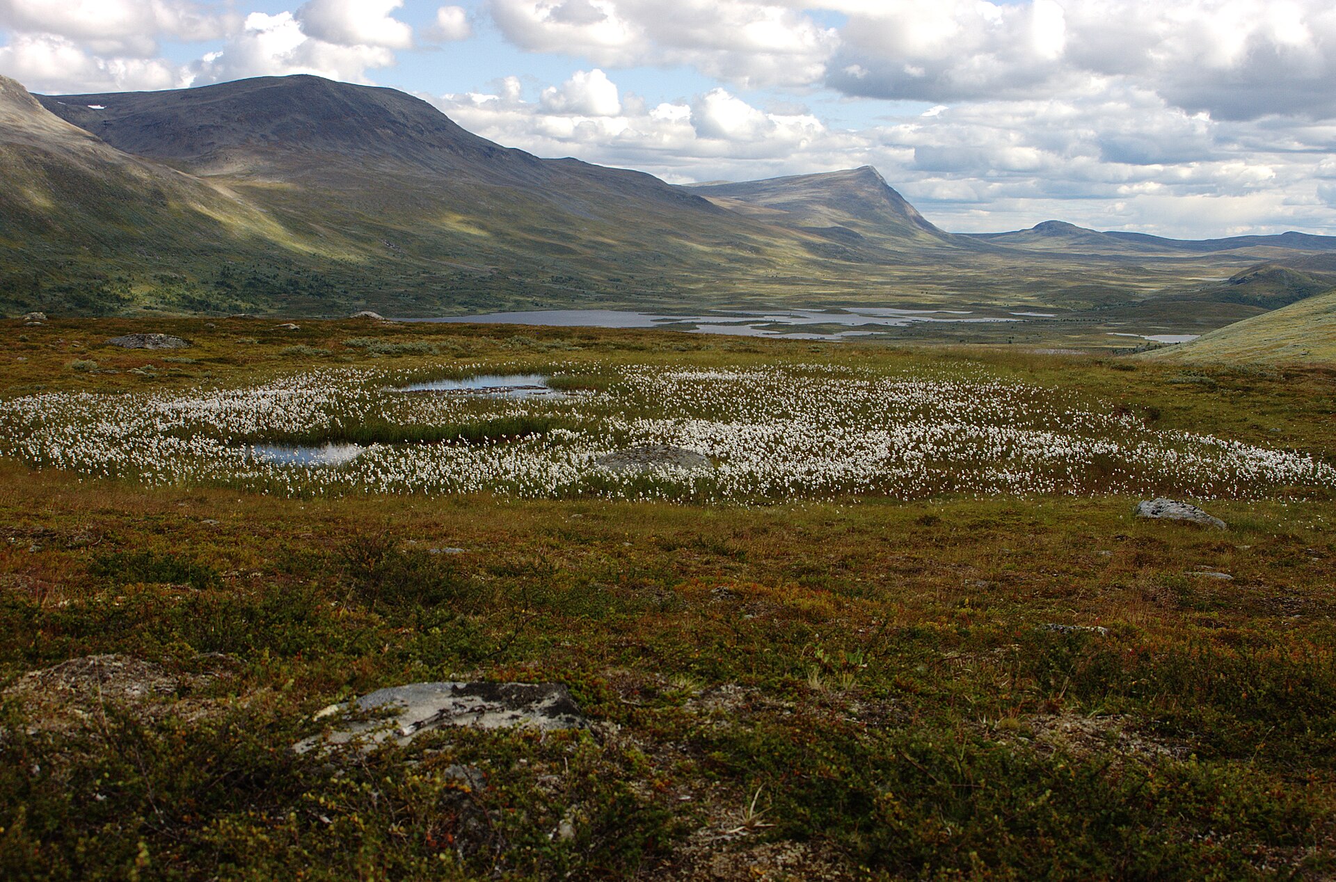 Vindelfjällen i Sorsele kommun — fjället, inte de 2 200 hektaren